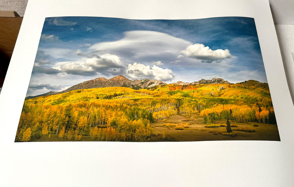 Aspens and peaks print