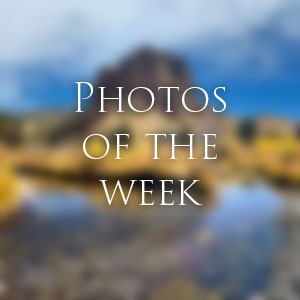 Link to Photos of the Week