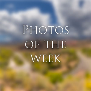 Home Link to Photos of the Week