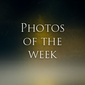 Link to Photos of the Week