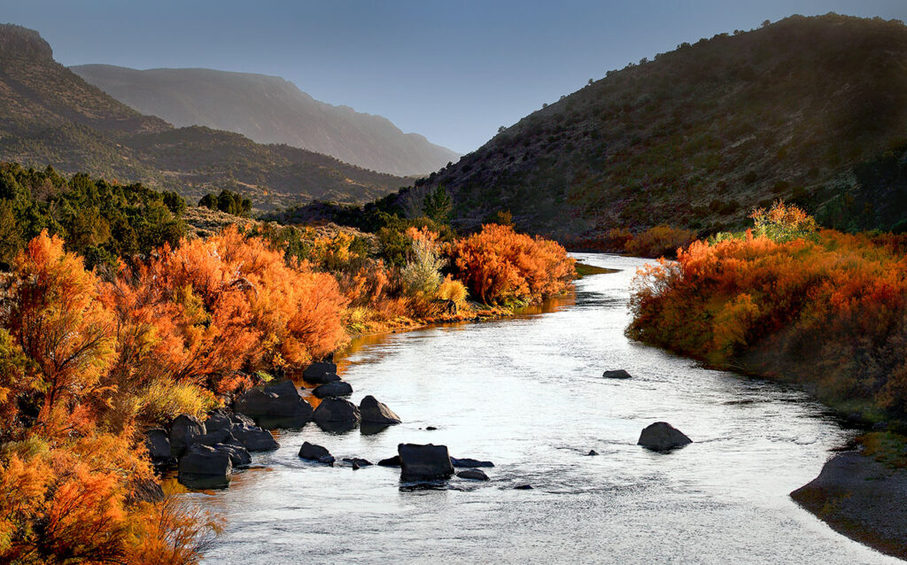 Rio Grande fall color