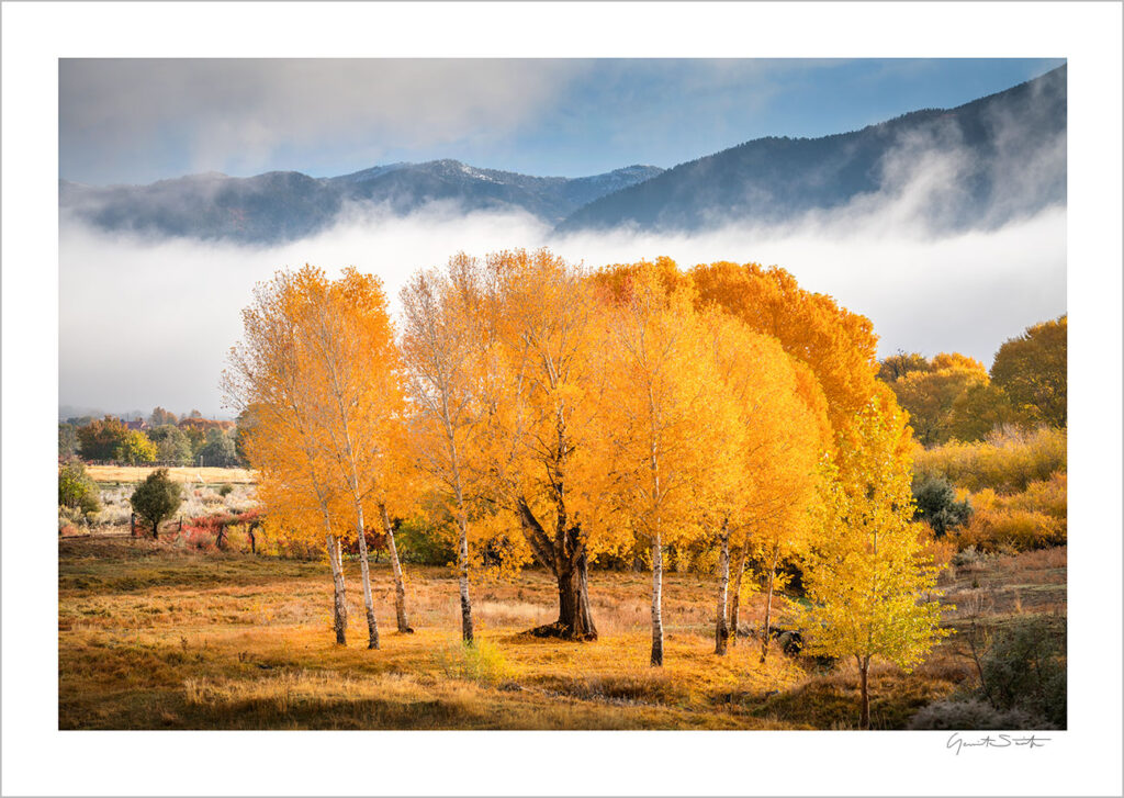Fall in the San Cristobal Valley