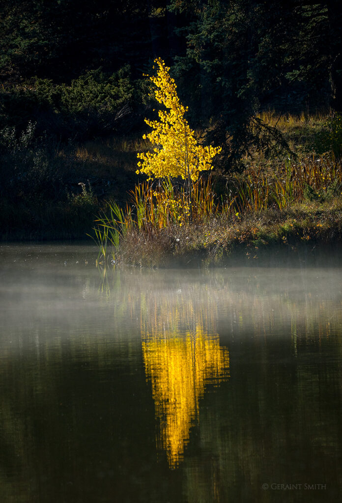 A little autumn color Valle Escondido, NM