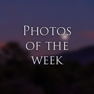 Link to Photos of the Week