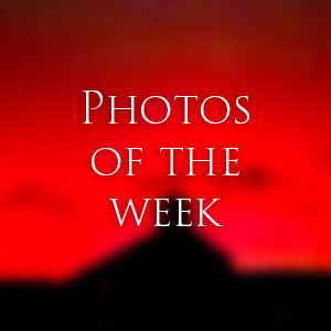 Link to Photos of the Week