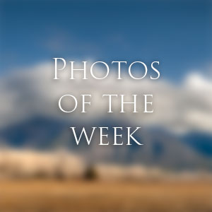 Link to Photos of the Week