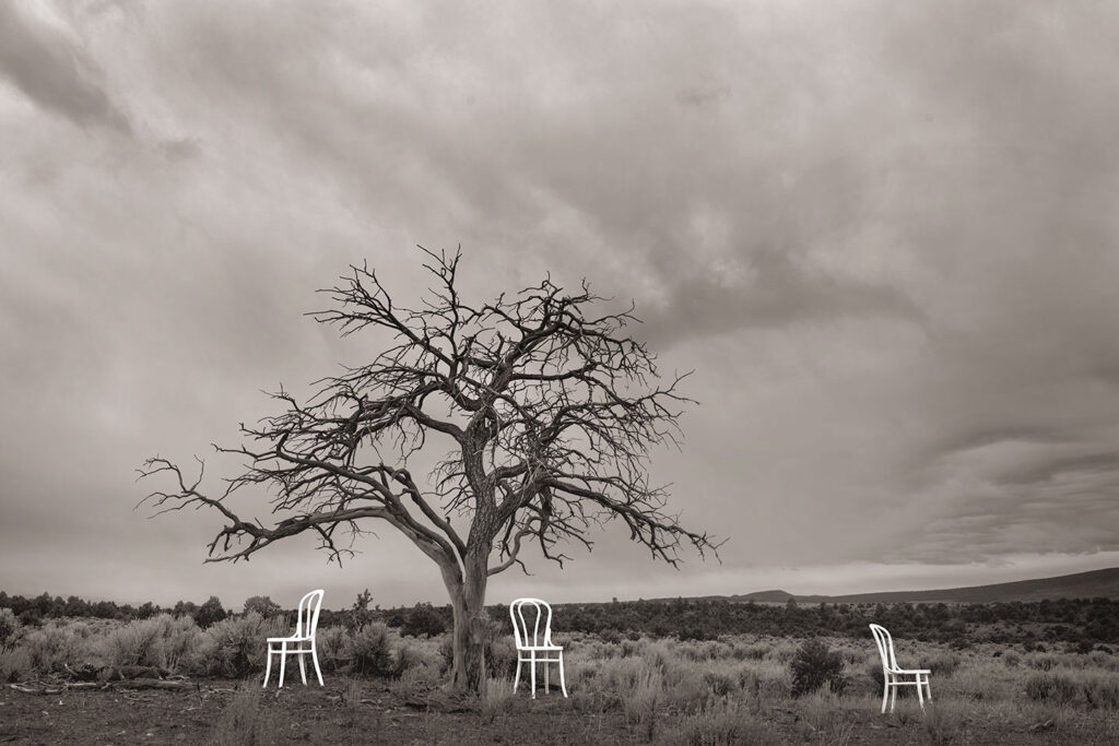 three chairs tree wild rivers BW A7R 3443 1