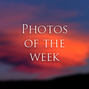 Link to Photos of the Week