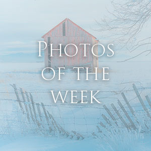 Link to Photos of the Week