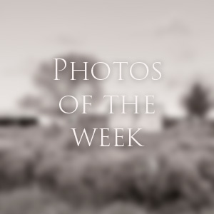 Link to Photos of the Week