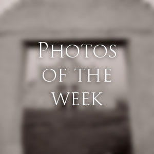 Link to Photos of the Week