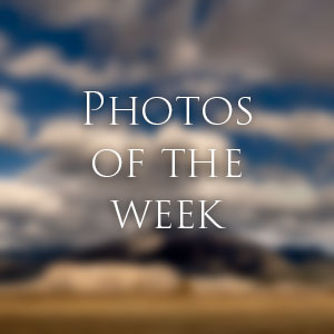 Link to Photos of the Week