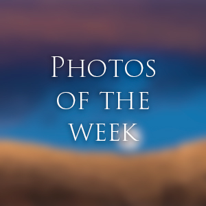 Link to Photos of the Week