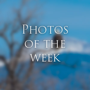 Link to Photos of the Week
