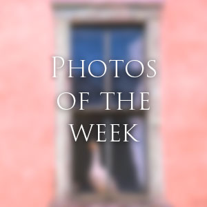 Link to Photos of the Week