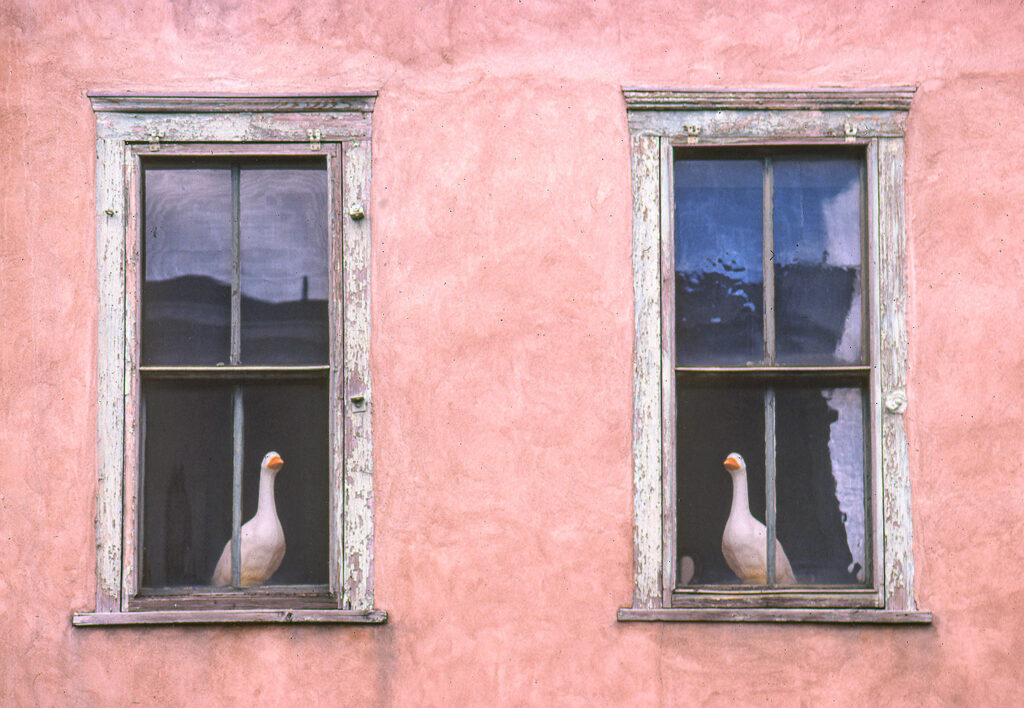 Doodlets Santa Fe, NM