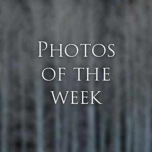Link to Photos of the Week