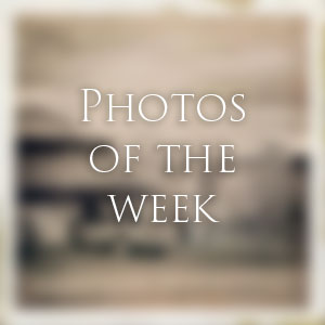 Link to Photos of the Week