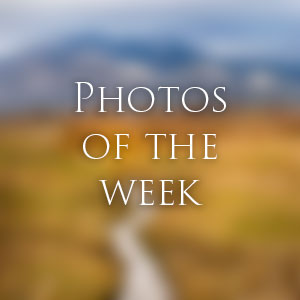 Link to Photos of the Week