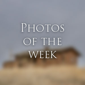 Link to Photos of the Week