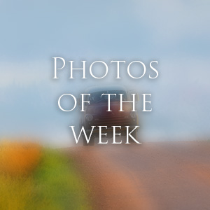 Link to Photos of the Week