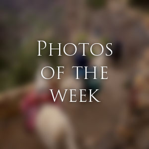 Link to Photos of the Week