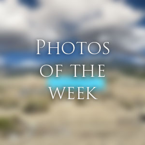 Link to Photos of the Week