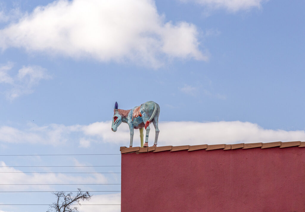 Roof Sculpture Carizozo, NM