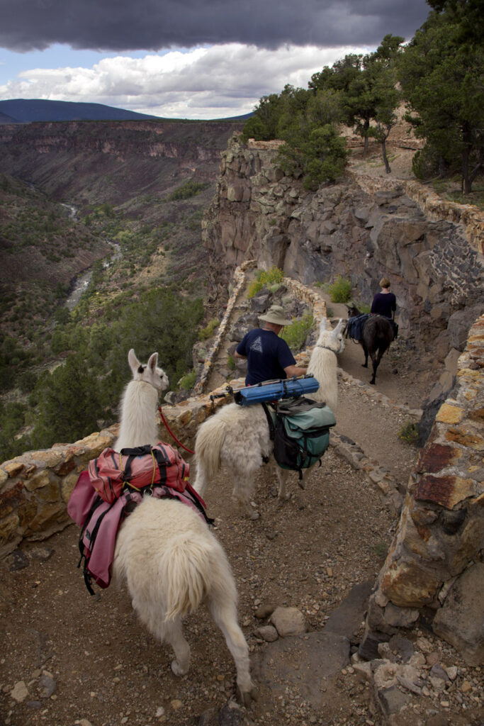 Llama Trekking Heading down into the gorge