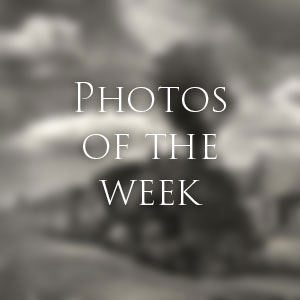 Link to Photos of the Week