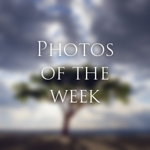 Link to Photos of the Week