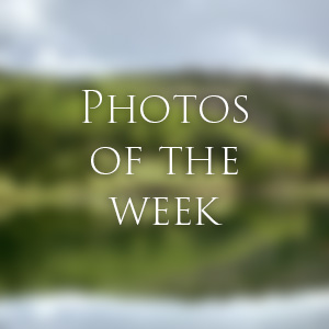 Link to Photos of the Week