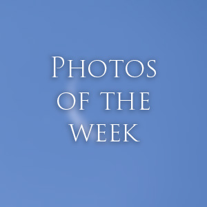 Link to Photos of the Week