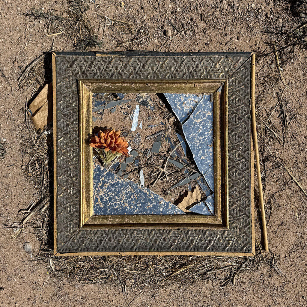 Broken mirror and frame with flower