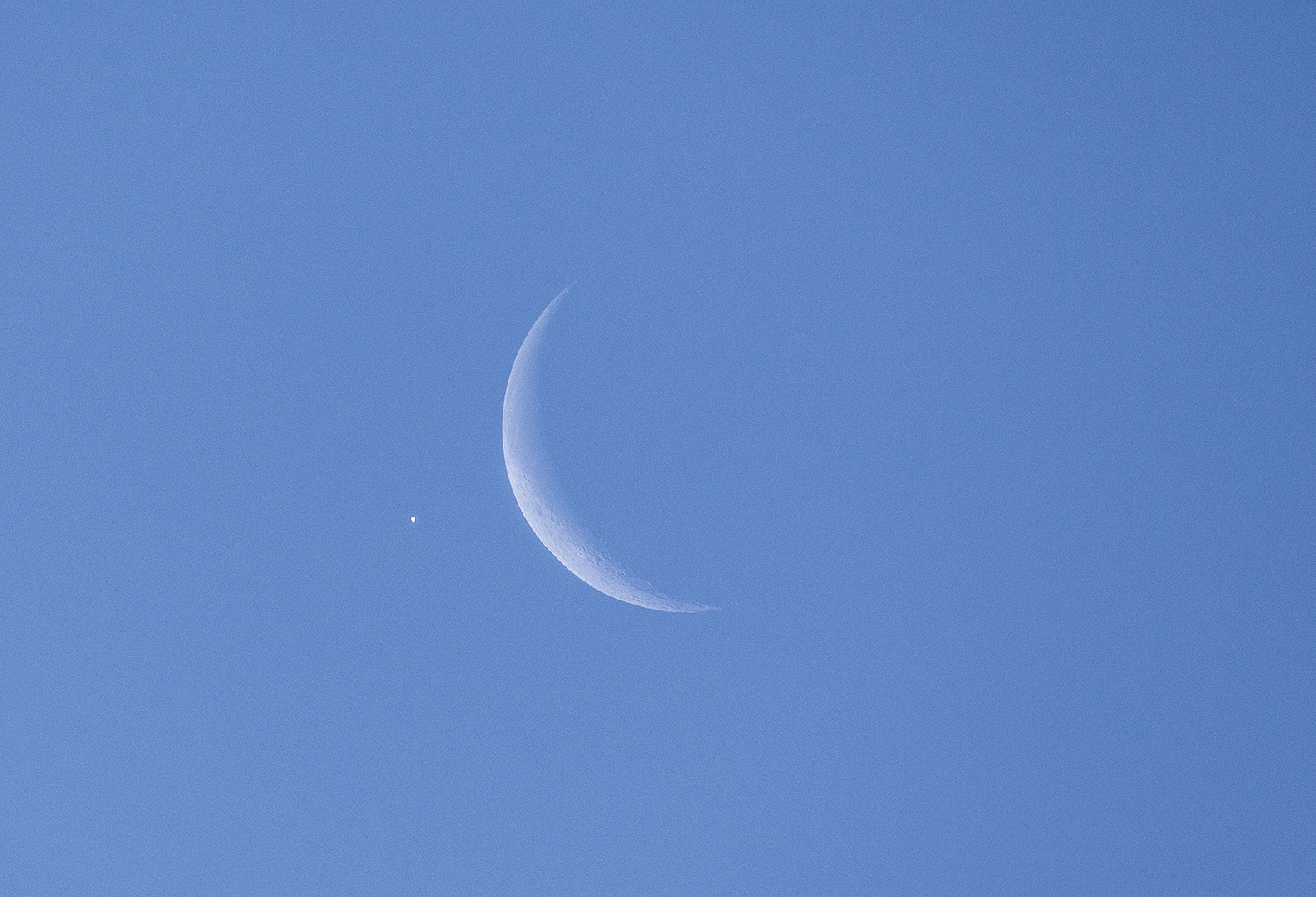Lunar Occultation Venus. 06-16-2026 Lunar Occultation Venus