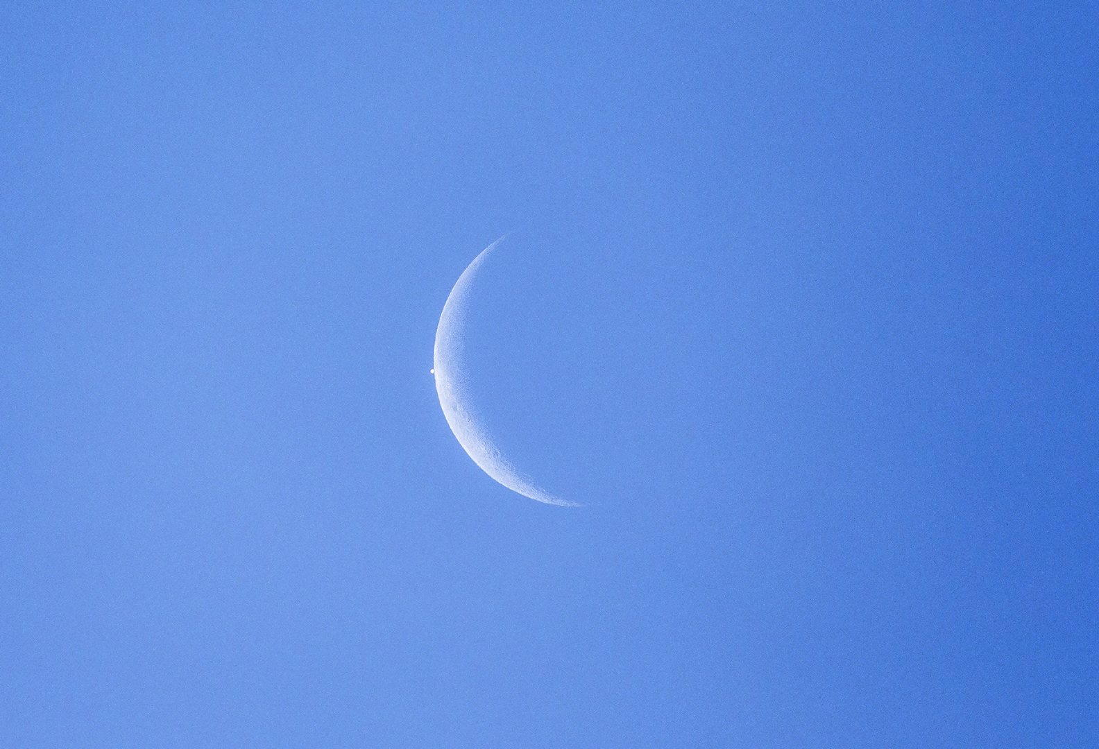 Lunar Occultation Venus. 06-16-2026 Lunar Occultation of Venus about to happen
