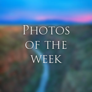 Link to Photos of the Week