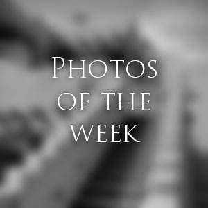 Link to Photos of the Week