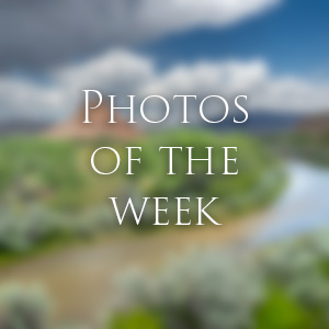 Link to Photos of the Week