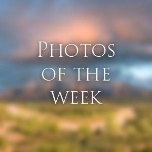 Link to Photos of the Week