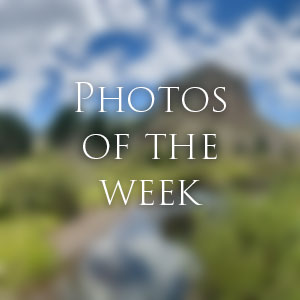 Link to Photos of the Week