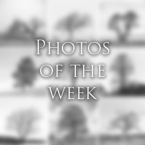 Link to Photos of the Week