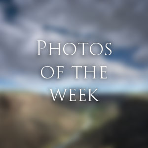 Link to Photos of the Week