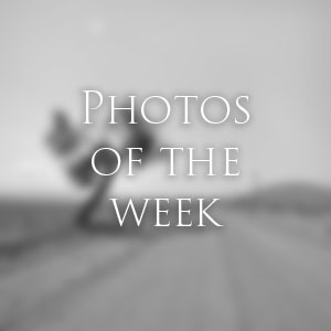 Link to Photos of the Week
