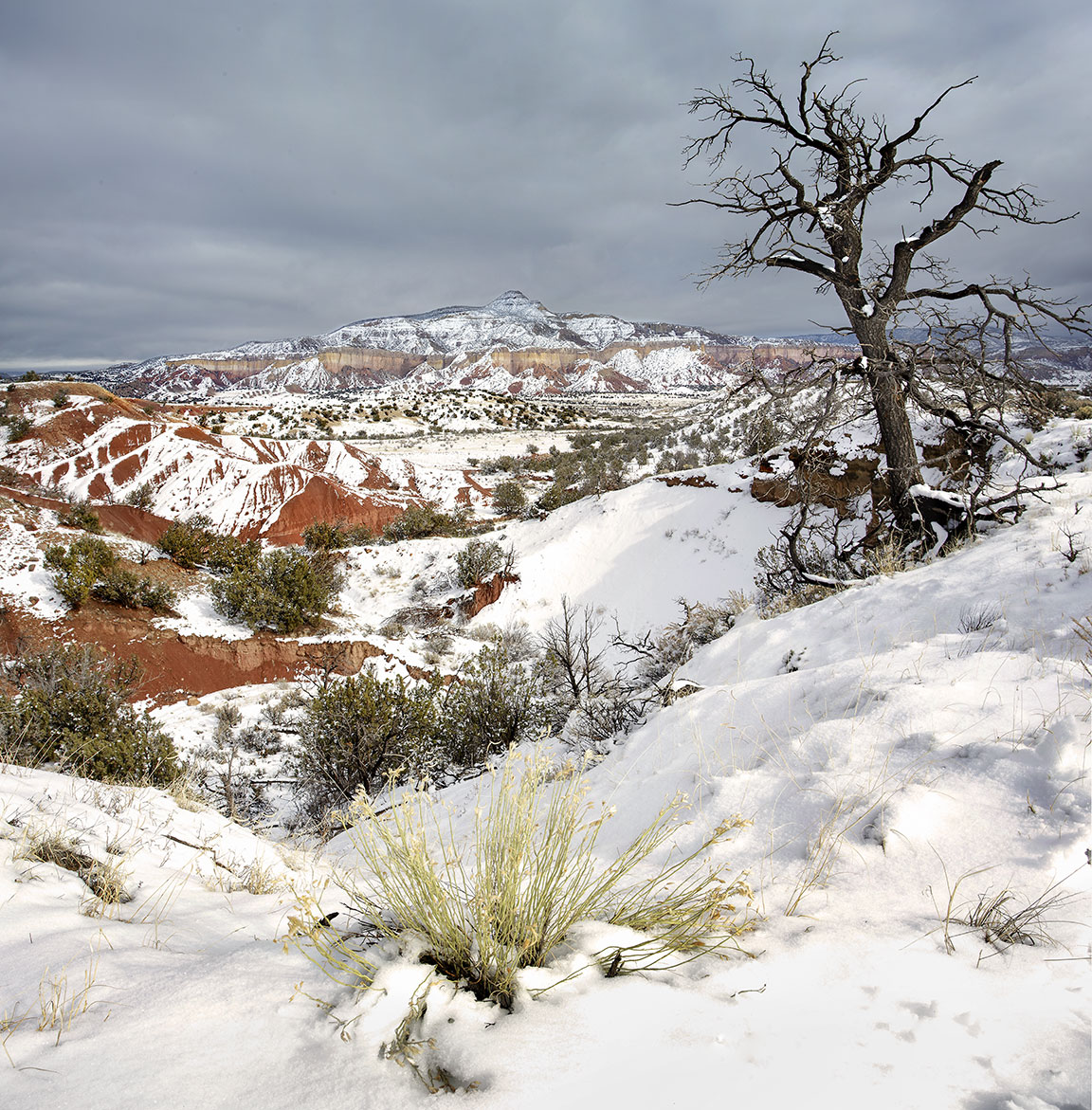 More Trees, Large Print. 09-23-2026. Winter on the Chama River road near Ghost Ranch, NM.