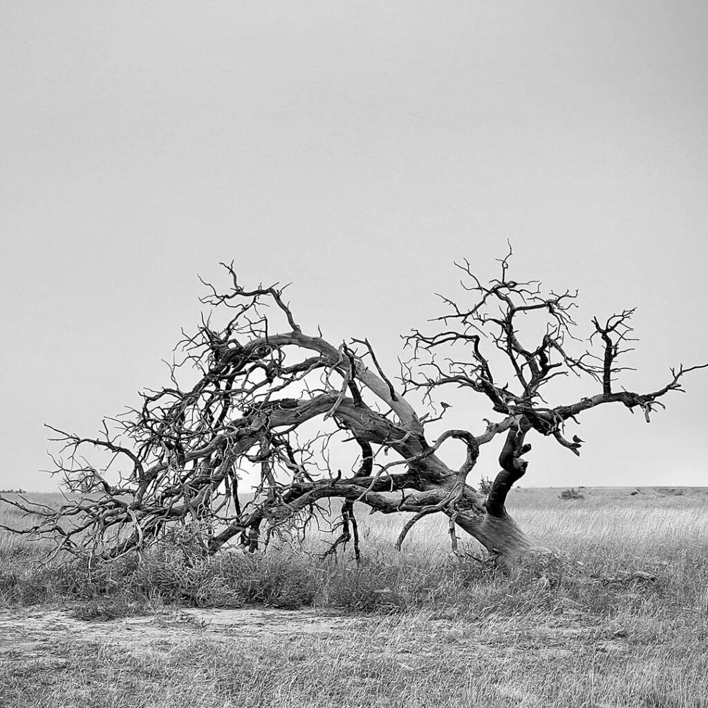 Ghost Ranch, NM