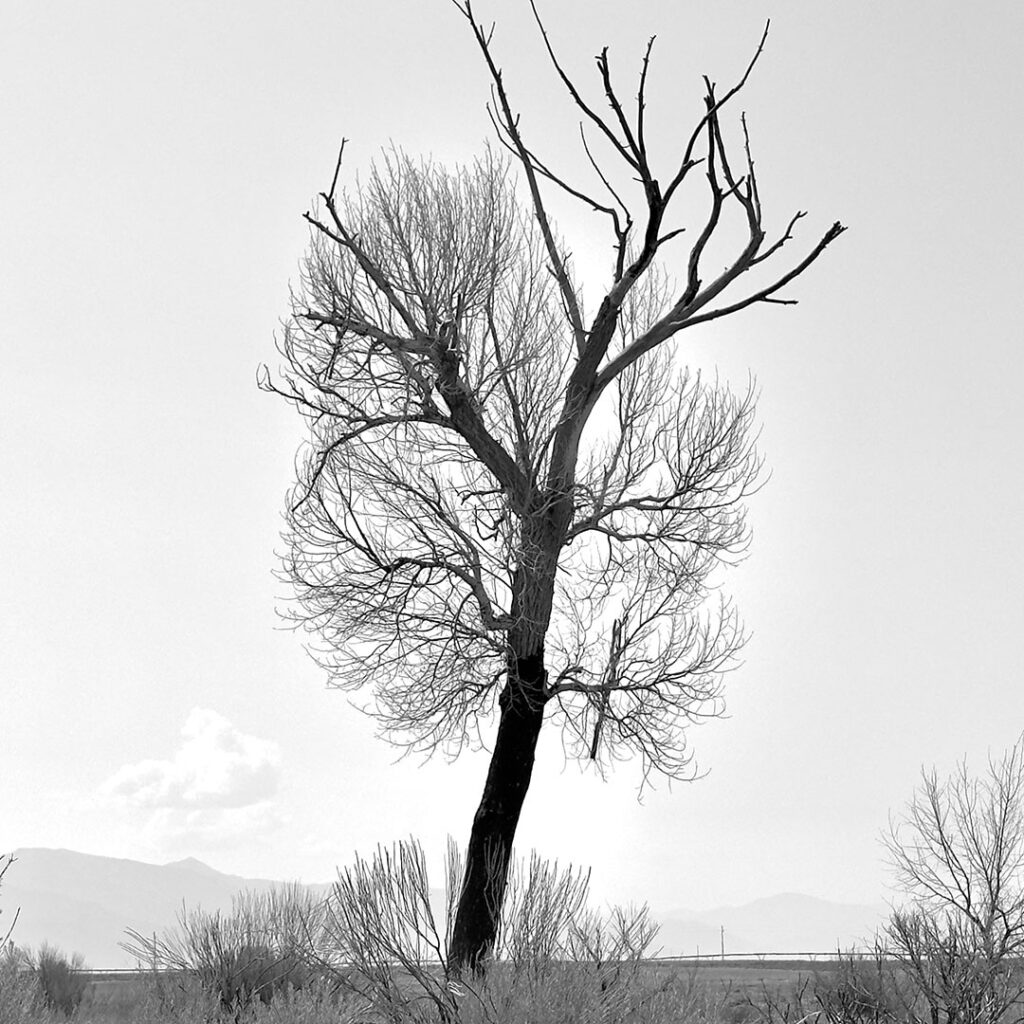 Near Jaroso, CO