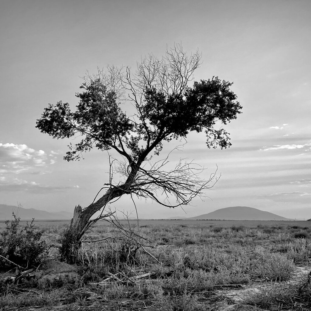 Ute Mountain
