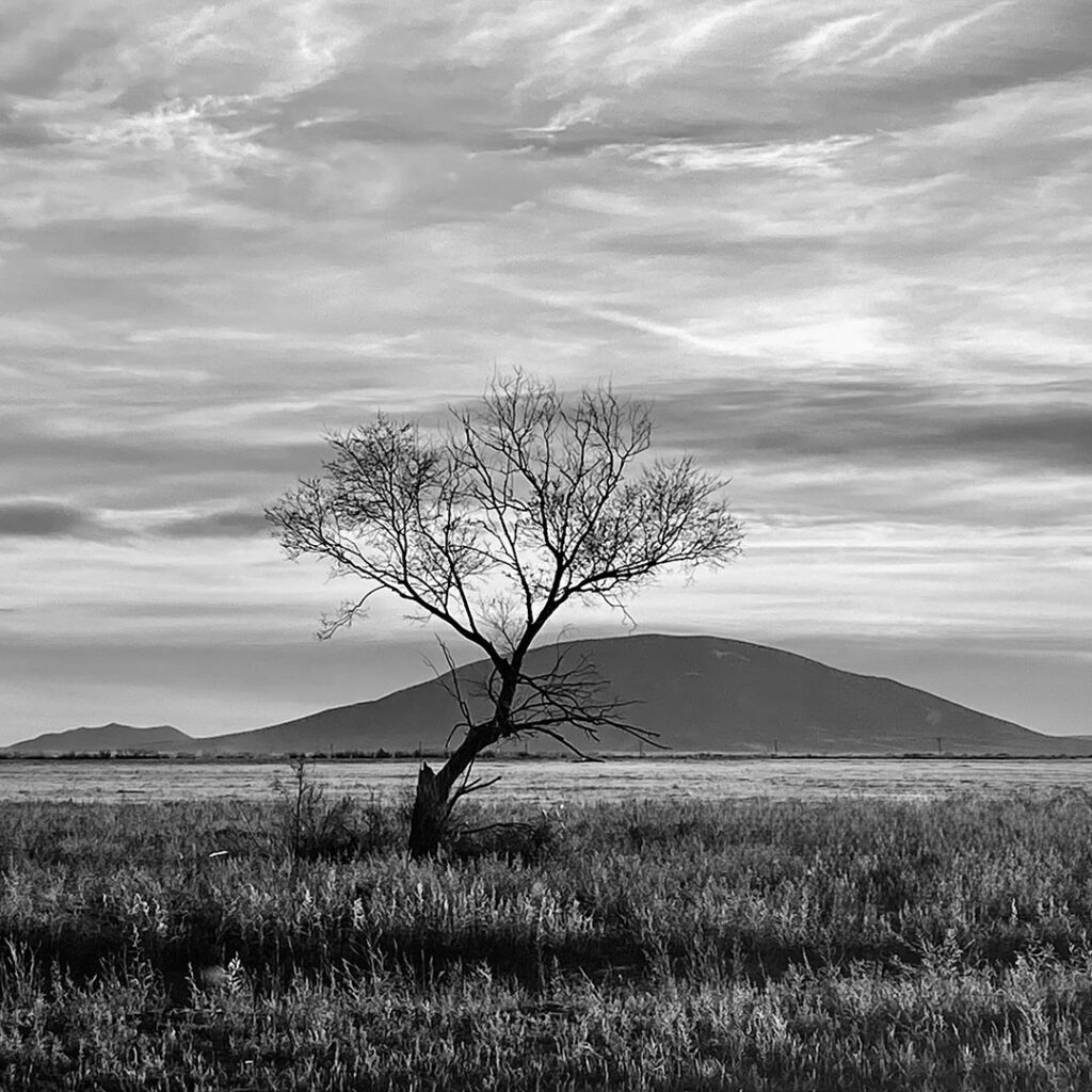 Ute Mountain