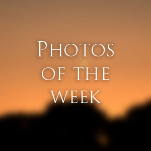 Link to Photos of the Week